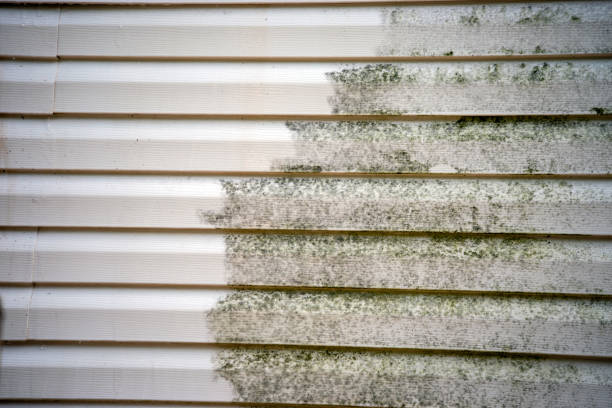 Historical Building Siding Restoration in Ridgefield, WA